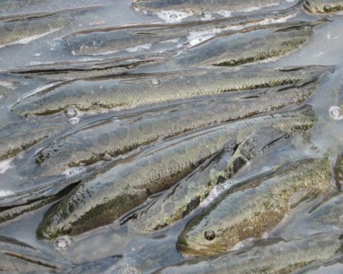 111111111.jpg 111111111.jpg